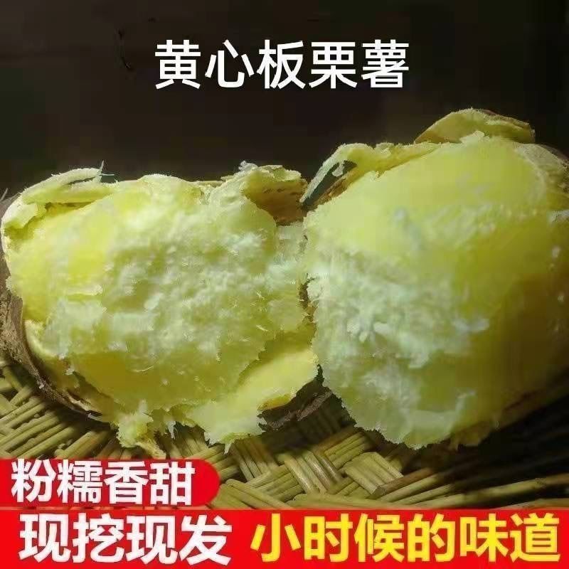 db360d9b-e239-43f6-af32-a3365fbc78cc.jpe