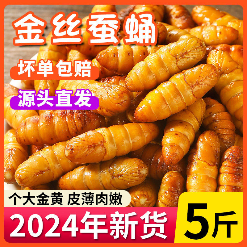 生きた金蚕の蛹、新鮮冷凍 2.5kg 山東省特産の黄金蝉の蛹、揚げたての小桑蚕の蛹、業務用バーベキュー|undefined