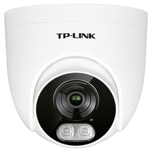 TP-LINK TL-IPC435E 300fDC/POEltWjzC