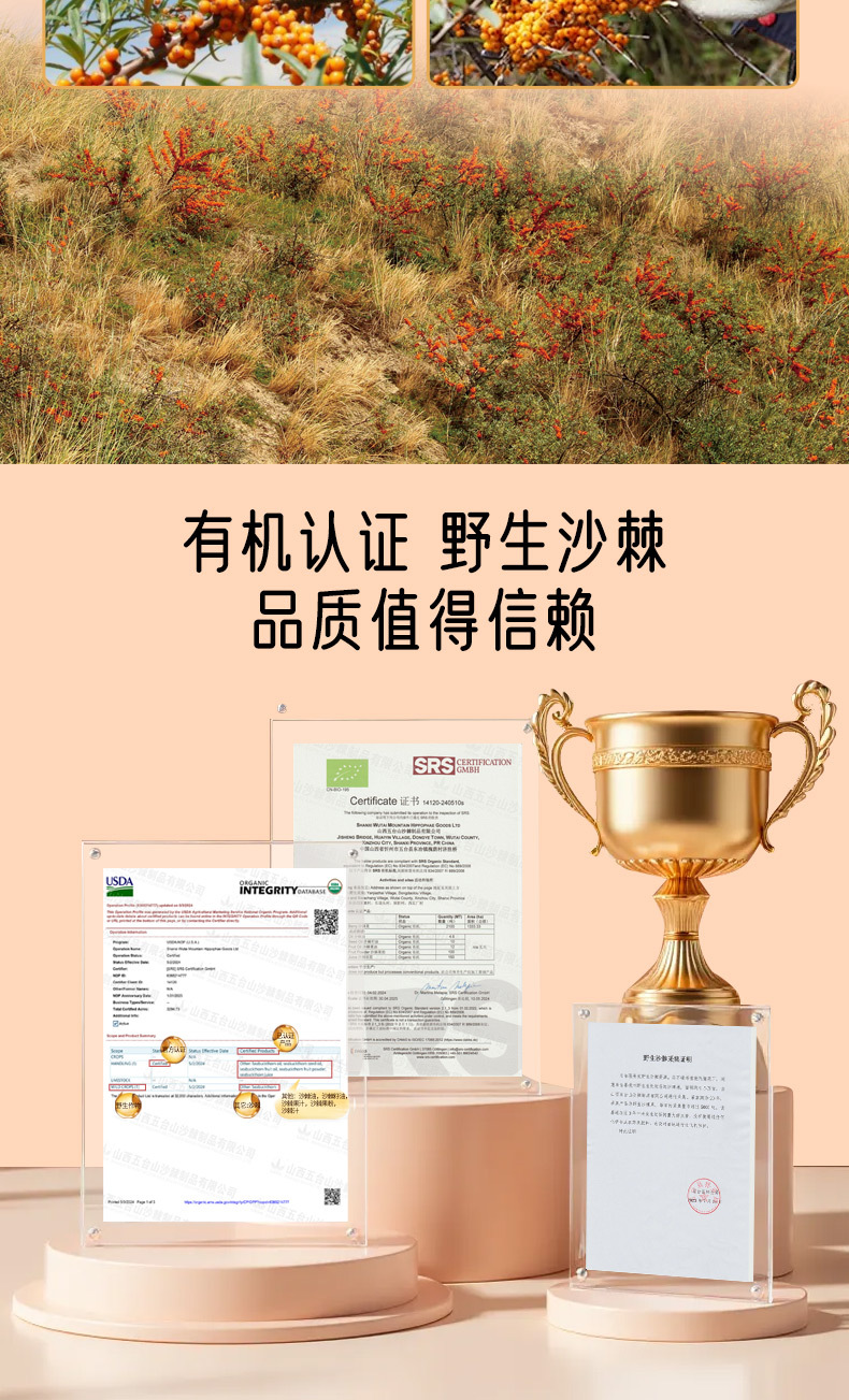 Sea Buckthorn Seed Oil Capsules Supercritical CO2 Extract Wild Sea Buckthorn 45g quality and texture