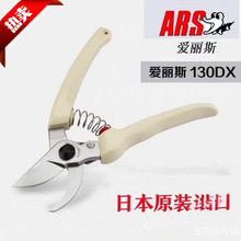 �ձ��M�ڐ����z��֦������˹����@ˇ��@�ּ�����������ӹ���