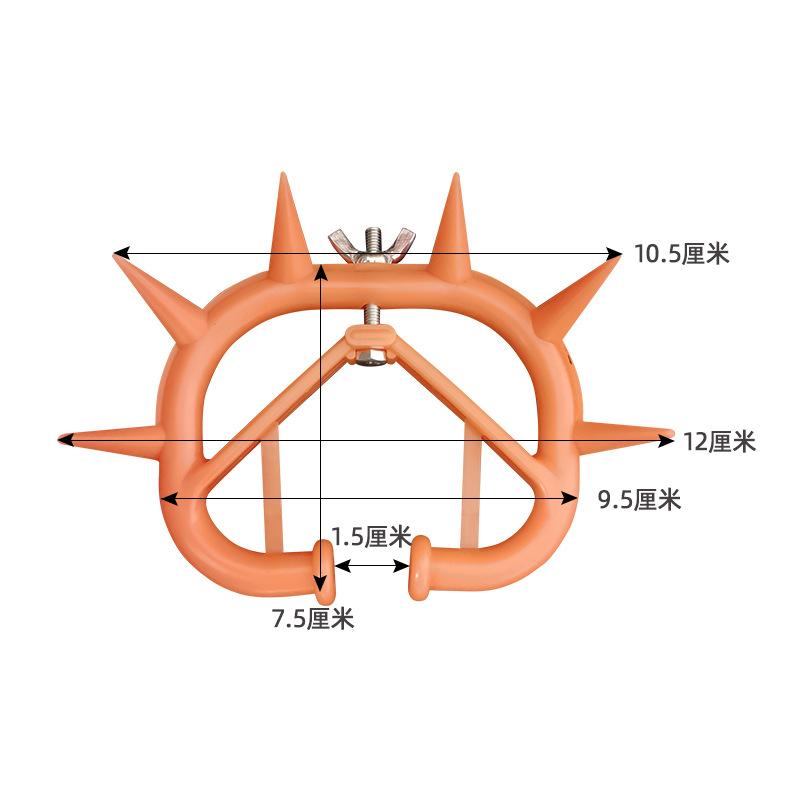 Viejo Buey Nariz Espina