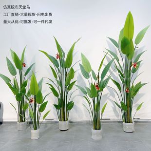 ¿z~˽BԱWٻپGֲb辰͏d쾰