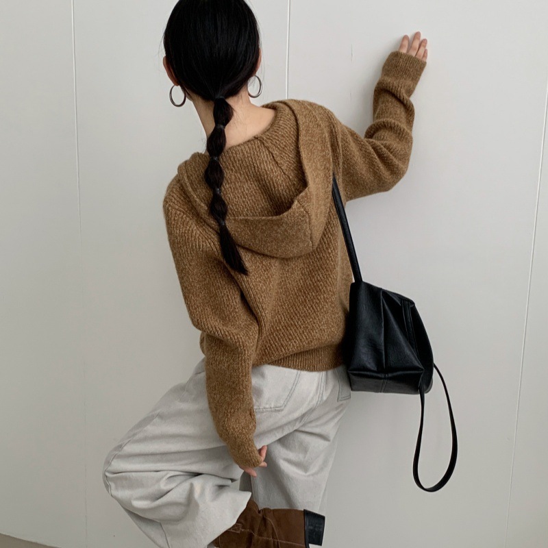 双拉链毛衣外套女秋冬2025新款慵懒风高级感宽松连帽针织开衫上衣|undefined