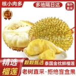 泰国金枕榴莲现货整个带壳新鲜榴莲  一件代发