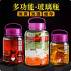 玻璃罐泡菜坛子带盖玻璃瓶方格梅酒瓶药酒酒瓶泡酒坛密封罐大容量