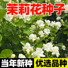 �����򻨷N�����������ļ��N�_��ͥԺ�̨���Ի�����ʵ��׻��N��