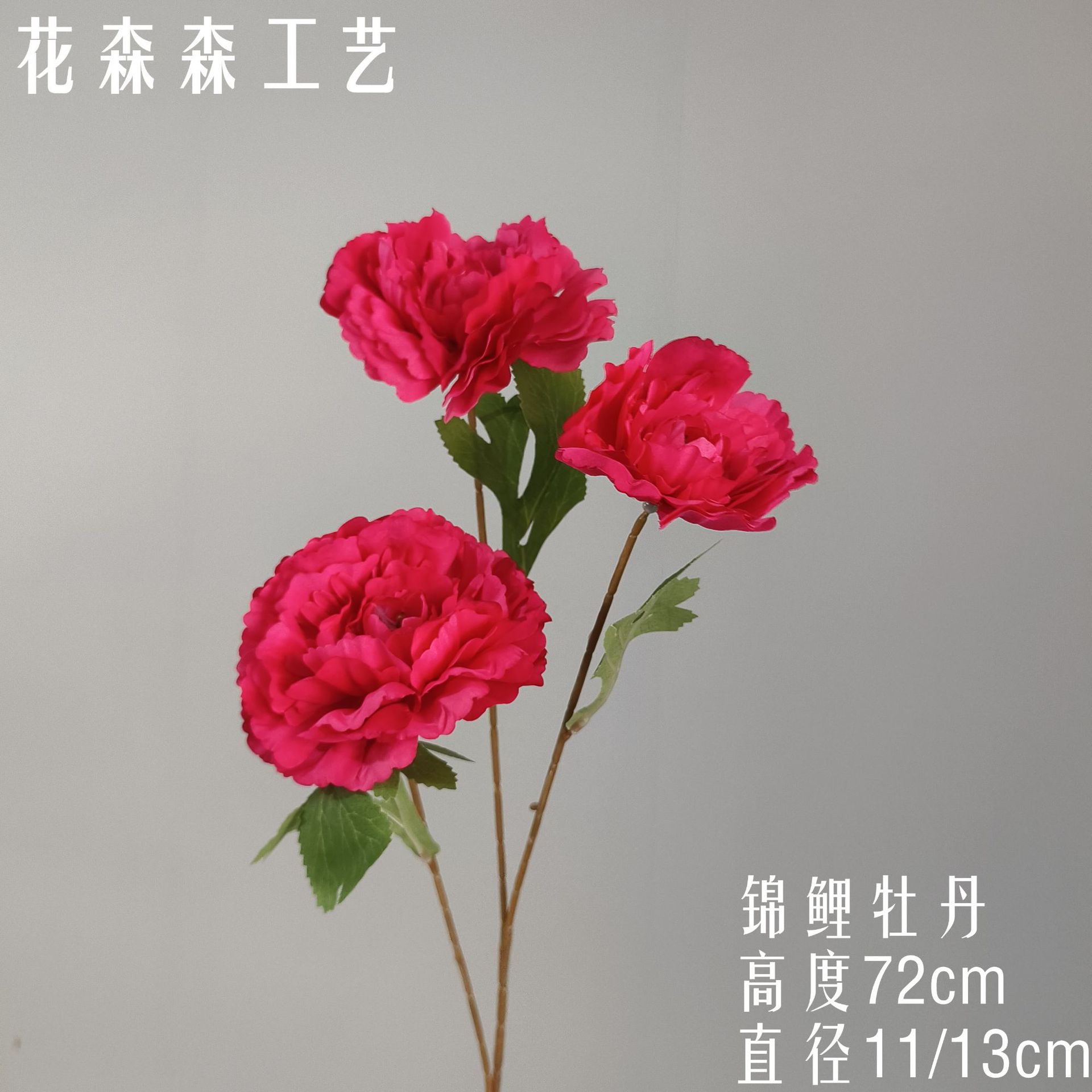 코이 모란 181317