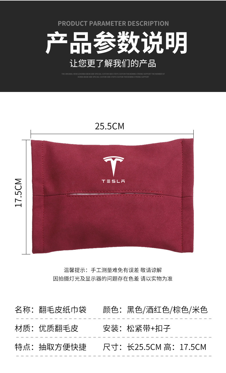特斯拉 (13).jpg