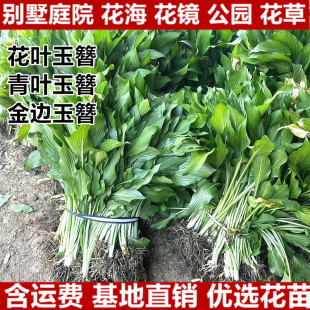 ���~�����绨�~������߅�����@�־G����ͥԺֲ�����Ի��ܾGֲ���~