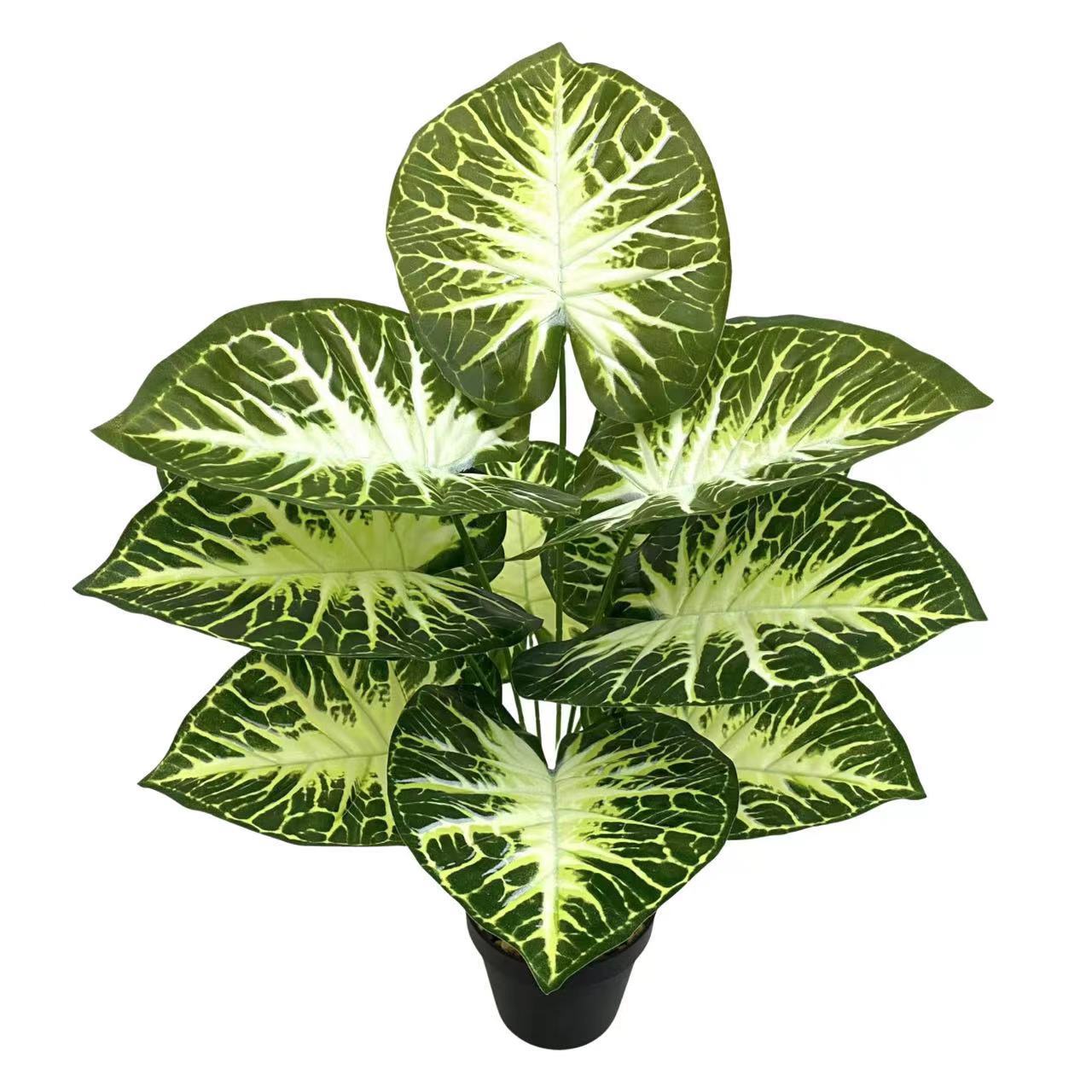 微信图片_20240619154431