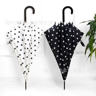 韩国ins风可爱波点少女心长柄伞暴雨手动晴雨伞双人学生雨伞女