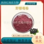 烘焙耐高温水溶饮料野樱