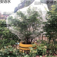 樱桃杨梅莲雾果树防鸟防果蝇防虫网罩树罩透气透光蔬菜大棚防虫网