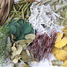 �����ߡ����~���ϰ�����޹Ϟ�Tֲ�������ƿ�ֹ�diy���~���ϰ�