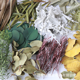 �����ߡ����~���ϰ�����޹Ϟ�Tֲ�������ƿ�ֹ�diy���~���ϰ�
