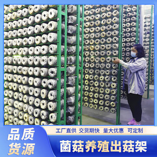 ����ƽ���Nֲ��Ģ���W�ܾ����Bֳ�ܾGɫ�F�z�W��ƽ��ʳ�þ��W��