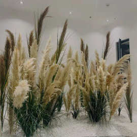 仿真植物装饰芦苇蒲草造景搭配北欧复古家居商场餐厅落地摆放绿植