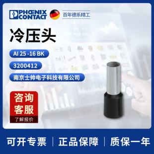 �� �����˹ �P�� AI 25 -16 BK - �䉺�^ 3200412