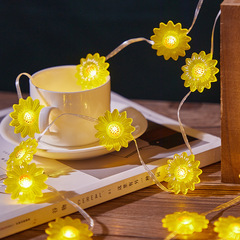 跨境新款皮線燈裂紋珠圓球太陽花聖誕節防水裝飾彩燈串露營表白燈