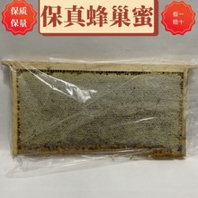 枣芙蓉新巢蜜跑江湖摆地摊展销会蜂蜜蜂场供应整张蜜脾蜂巢蜜