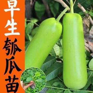 ��ʳ����ӹ�����ϷN����ϸ��ӹ����ѹ϶��A�˺��J�̨