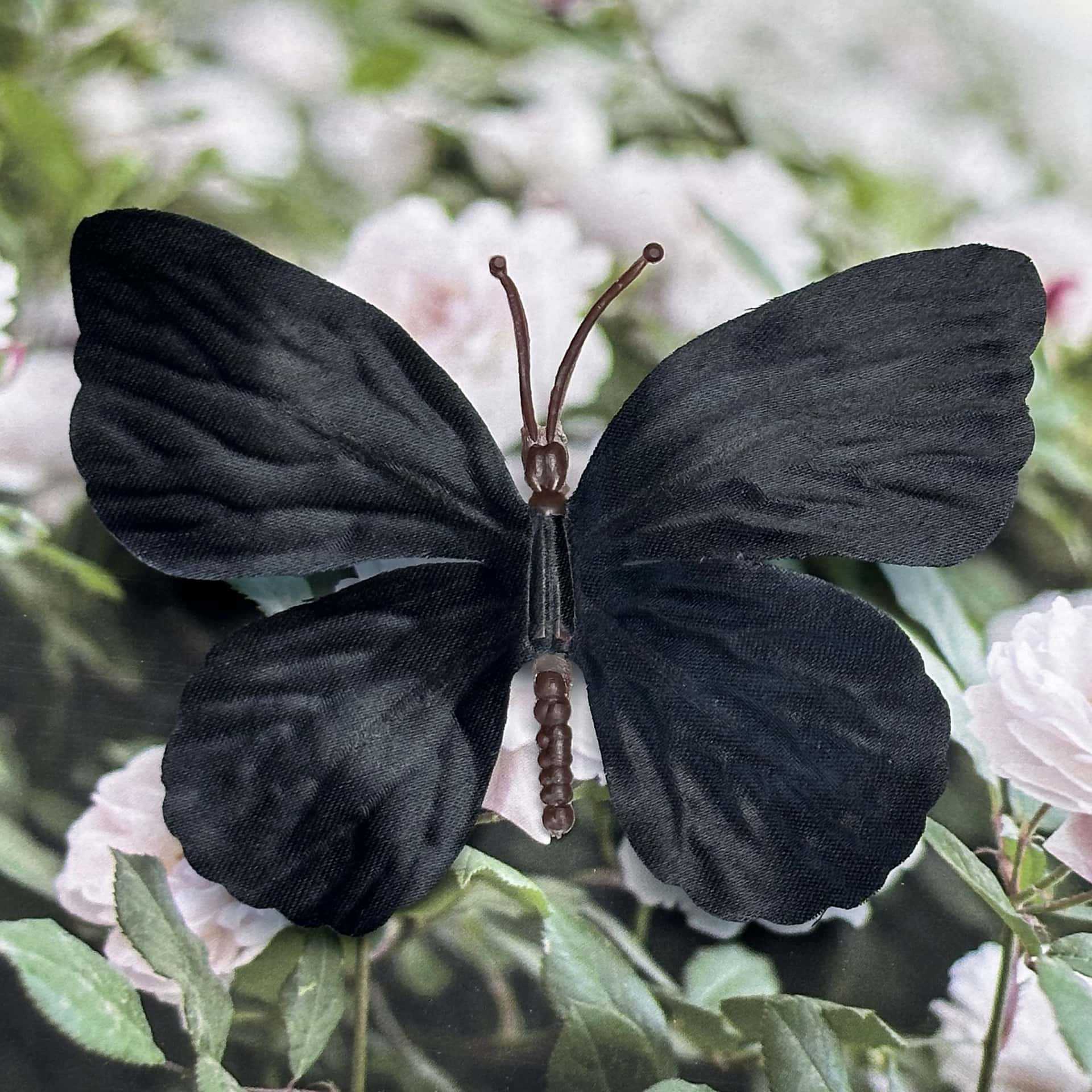 Seda 11CM color mariposa talla grande 14