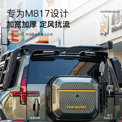 Fixed wind wing Modified Blade-Style Rear Wing, Roof