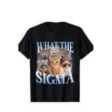 ewh����Ů�˵������꣨Sigma����Ȥģ��èè������T��è�䱬��t��