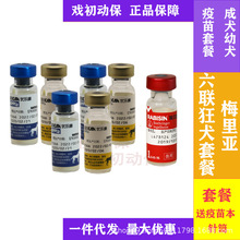 ��Ȯ���ײ͡�÷��������������ײ�÷�����������Ȯ��ؐ��