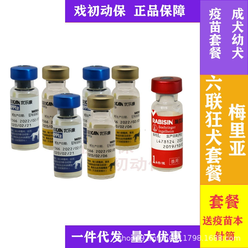 [Собачий пакет] Пакет вакцин для собак Merial Six-Union Youlecang от бешенства Ребером