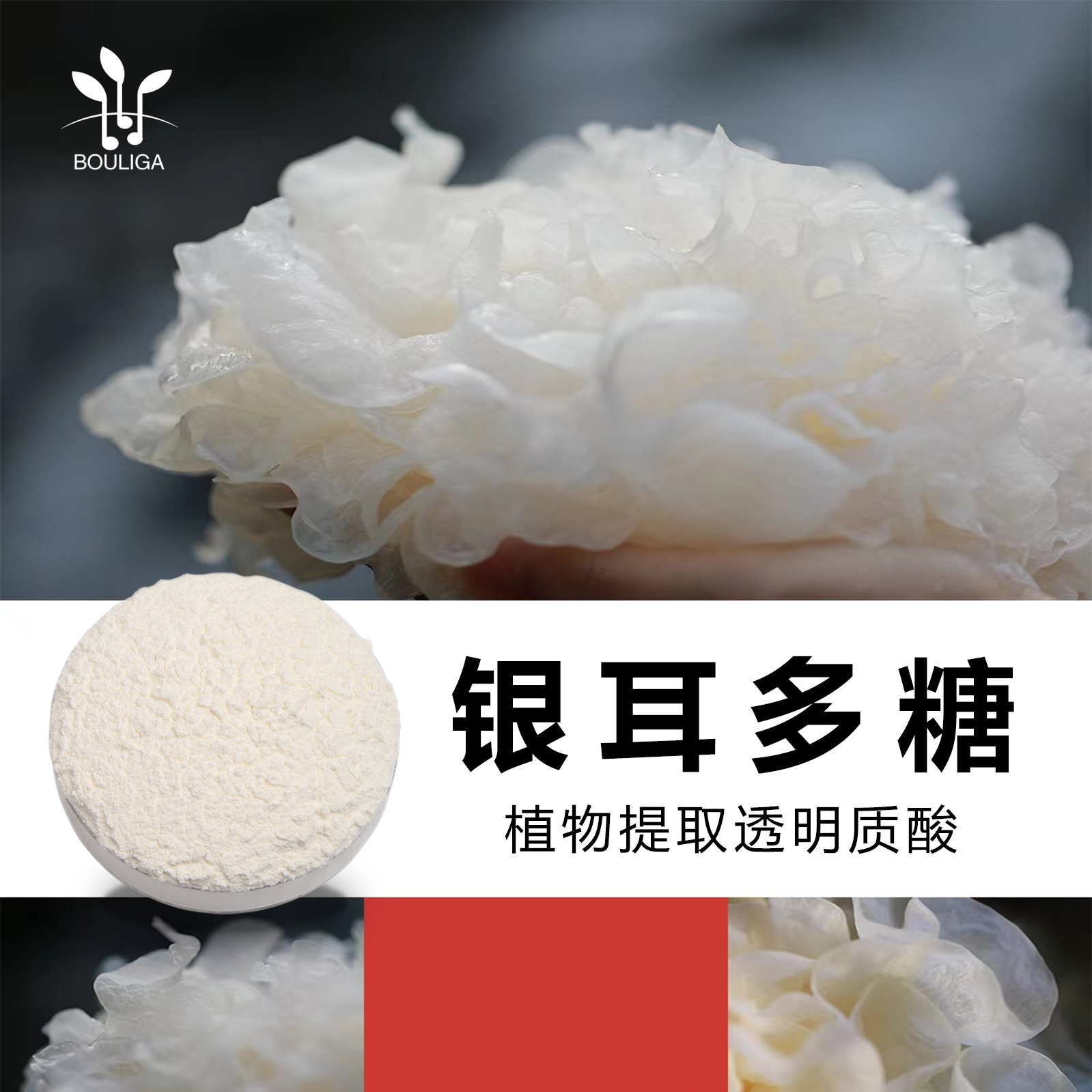 银耳多糖植物透明质酸银耳提取物化妆品原料粉末植物玻尿酸抗氧化