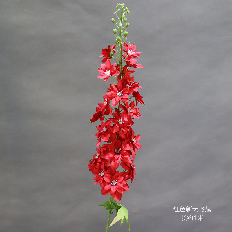 새로운 빨간 비행 제비의 가지