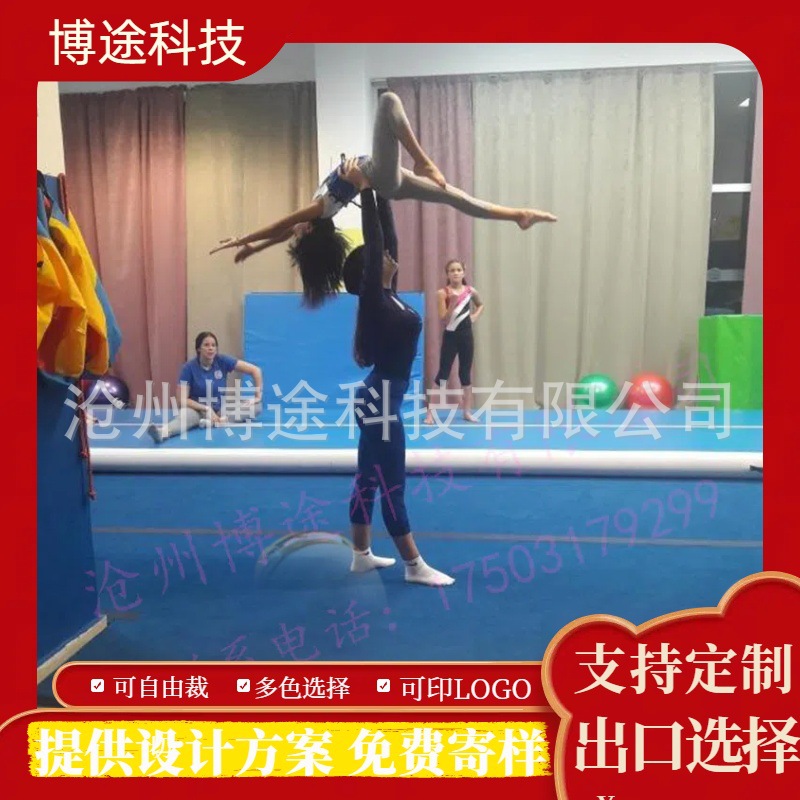 Fitness Mat, Taekwondo Mat, Yoga Dance Mat, Boxing Dance Mat, Somersault Martial Arts Fighting Judo Mat, Thickened and Non-Slip