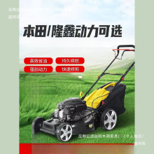 汽油割草机本田草坪修剪机自走推草机果园除草机打草机手推剪草机