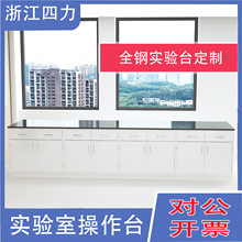 浙江全钢新款实验台科技工作台理化板 底柜专用家具试验中央边台