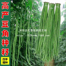 ����С�~���߮a�L���������N�Ӳˈ@�׷N�߲˷N���ļ��ܶ�����