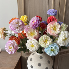 3�^�W˹͡�¼� �u׃ɫĵ���������廨��Y�������û�c��ˇ���滨