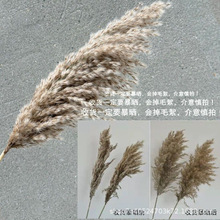 ins�L�ɻ����J�JȔ������������c���ļҾ��bS��