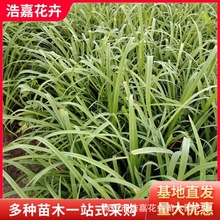 ����ݻ���������25���·Nֲ����������޸��ر�ֲ����������