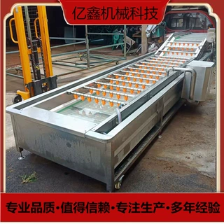 海鲜产品气泡清洗机 杏子高压喷淋清洗流水线 可定制净菜清洗设备
