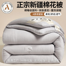 A类母婴级新疆棉花被木棉泡泡纱被子棉花被芯春秋被加厚冬被