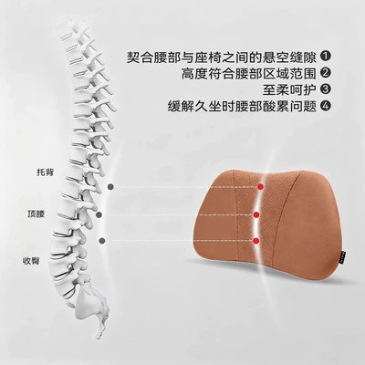 M8, the Lumbar Support Memory Foam Provides | Waist support