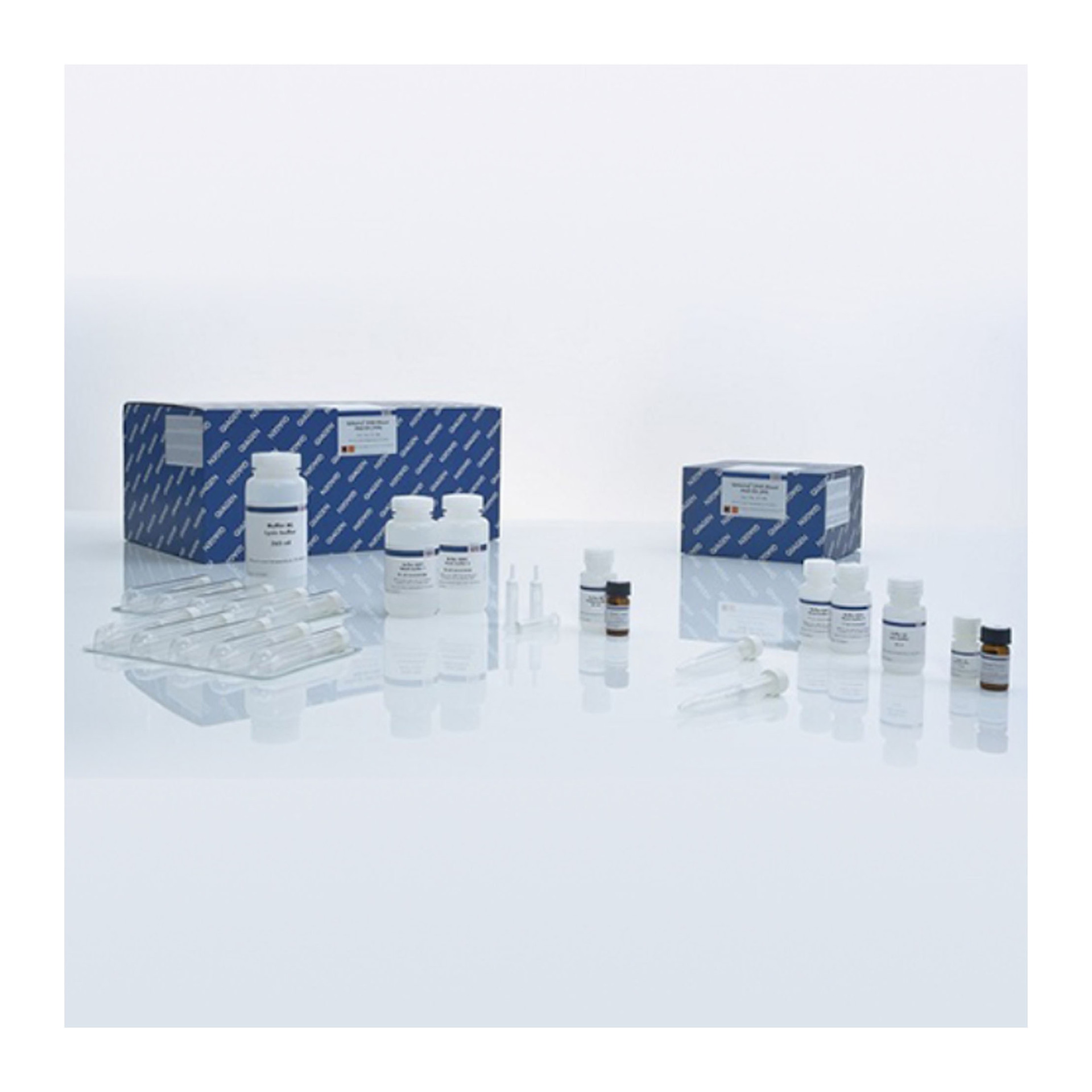 Qiagen 12243 质粒中提试剂盒，25T