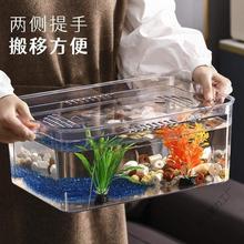 ���ǿ����׸���͸�������~�ׁ��������w���͎��w�²������~��