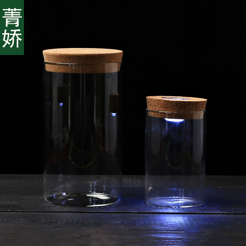 Цвет с лампой бутылка из боросиликатного стекла бутылка мох красочная монохромная креативная микропейзаж экологическая бутылка