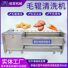 2000型土豆芋头去皮机 全自动毛辊清洗机 多功能根茎类药材清洗机