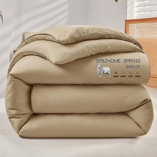 Wool Quilt 50% Wool Spring & Fall Quilt Single and Double Sheep Quilt Autumn and Winter Warm Thick Quilt Core Wholesale Gift Box Skin-Friendly