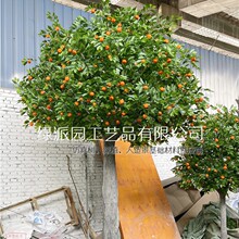 �Ї��L����ʯ����[�����Ә����Ә�͏d�ٻ��廨�b�֦���P����