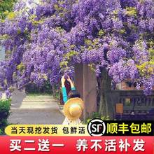 һ�����l���٘�����Ԯ����ֲ��ͥԺ�����̨�����ͺ������}�༾�_